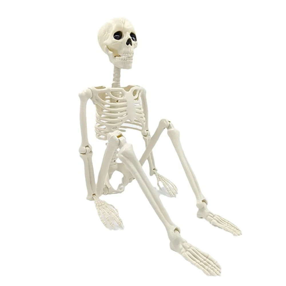 Halloween Posable Skeleton Decoration – Human-Shaped Fake Bone Horror Prop for Parties & Haunted Houses