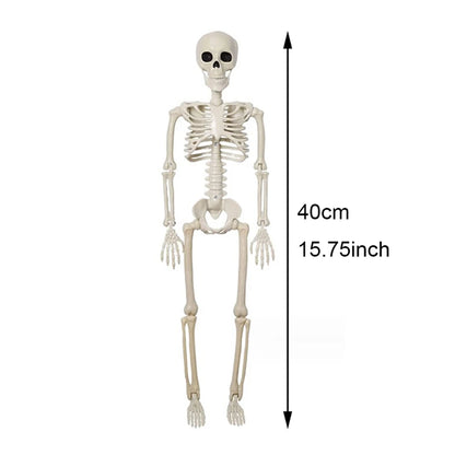 Halloween Posable Skeleton Decoration – Human-Shaped Fake Bone Horror Prop for Parties & Haunted Houses