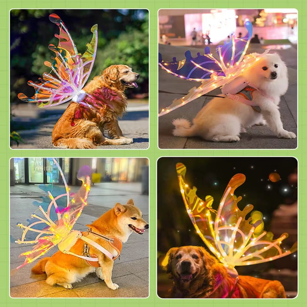 Electric LED Fairy Butterfly Wings – Flapping Costume Wings for Girls & Women, Perfect Party Accessory